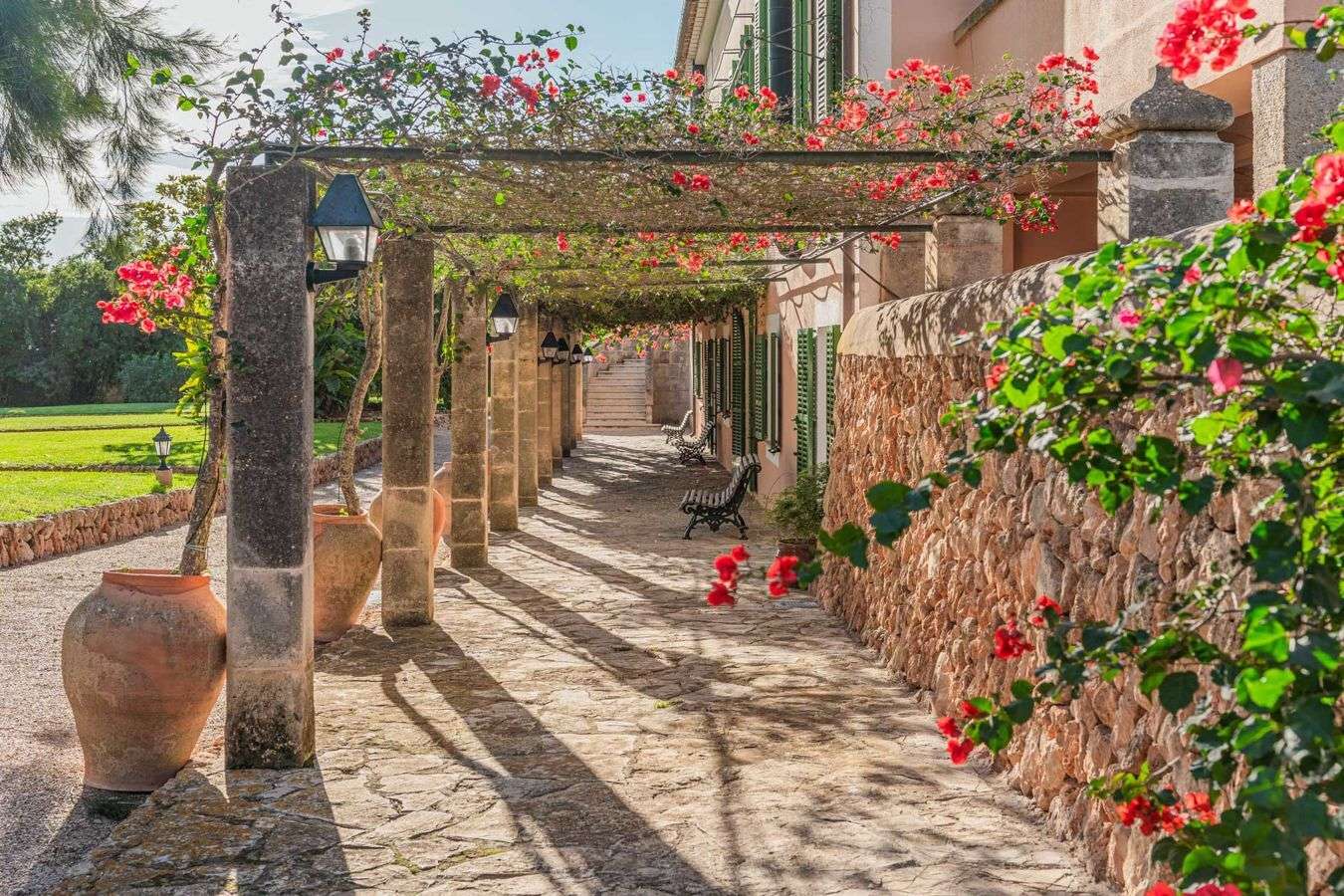 [object Object] - image