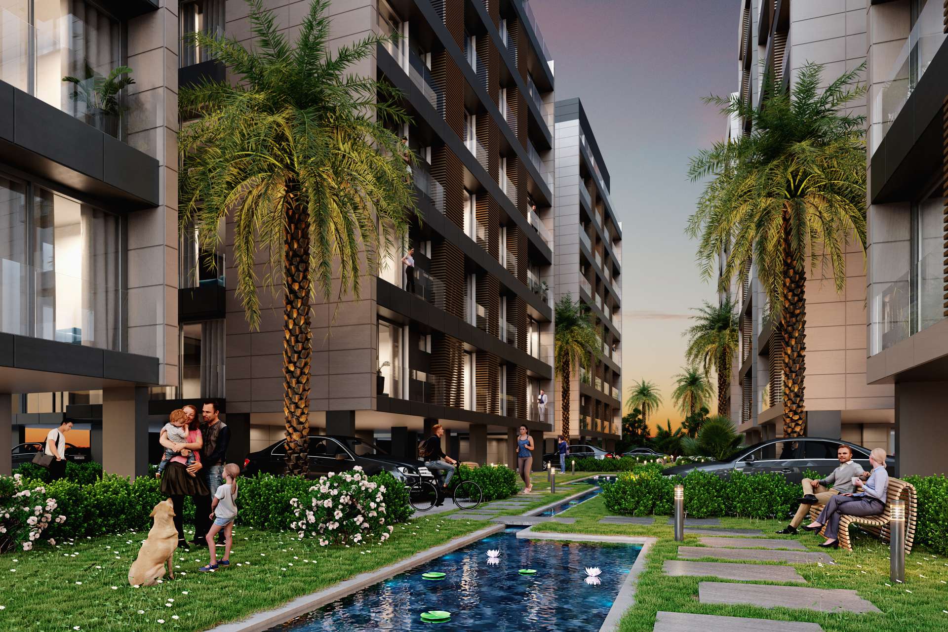 [object Object] - image