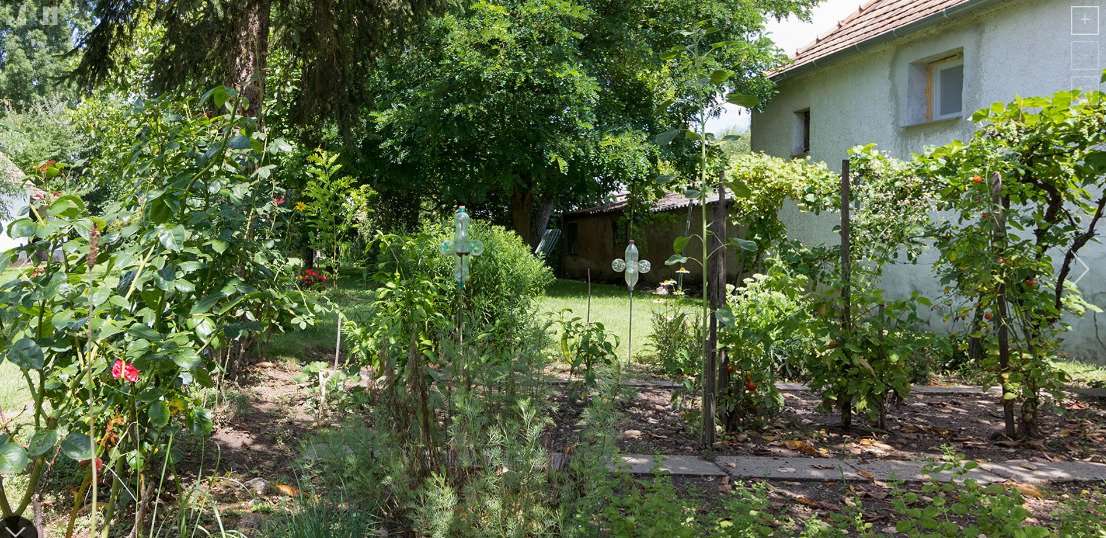 [object Object] - image