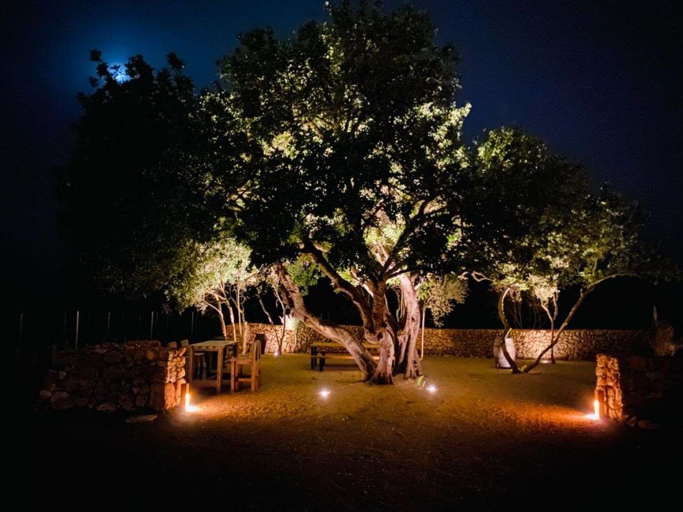 [object Object] - image