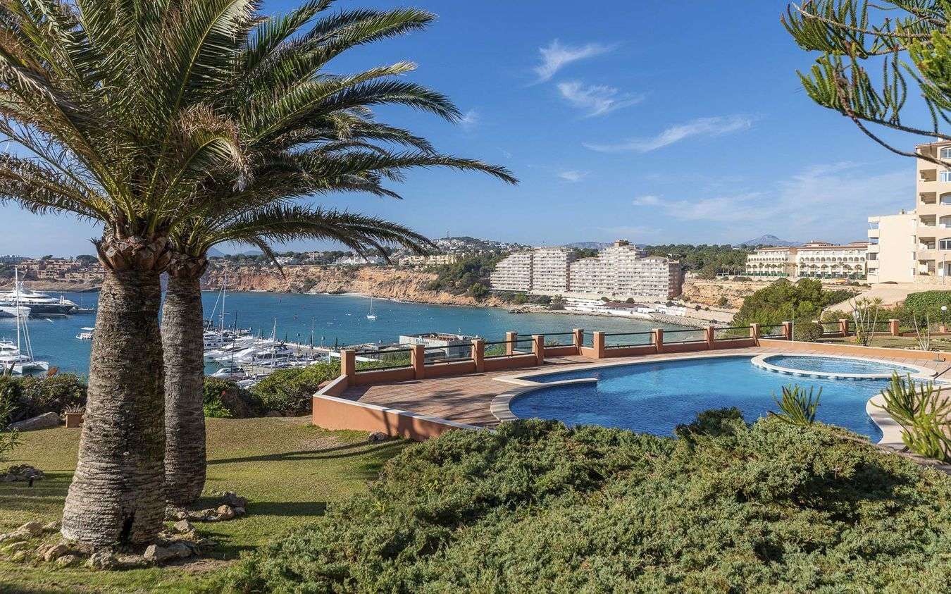 [object Object] - image