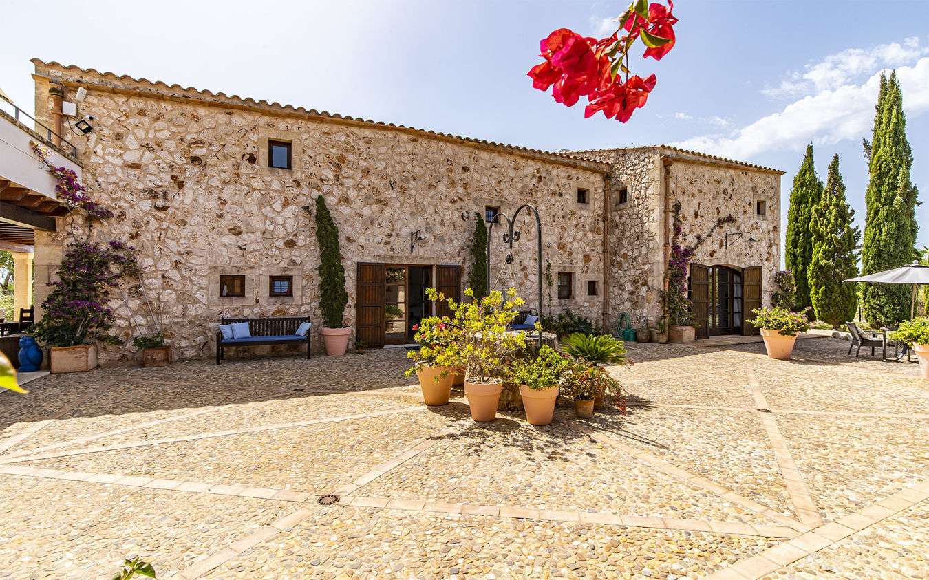 [object Object] - image