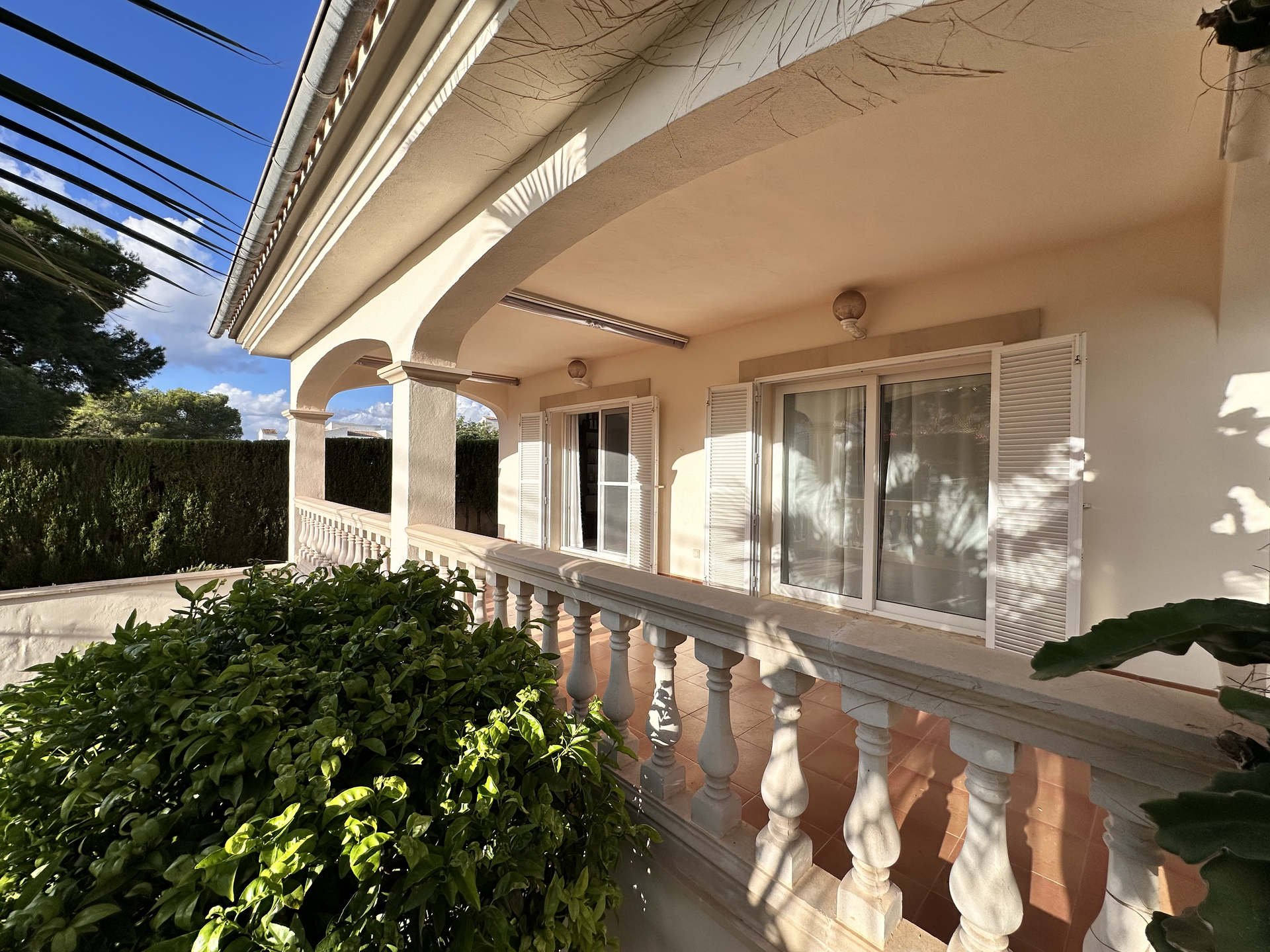 [object Object] - image