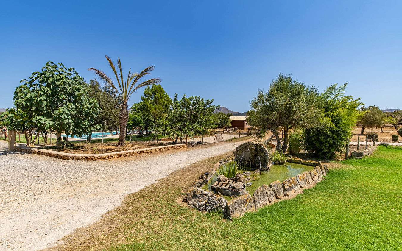 [object Object] - image