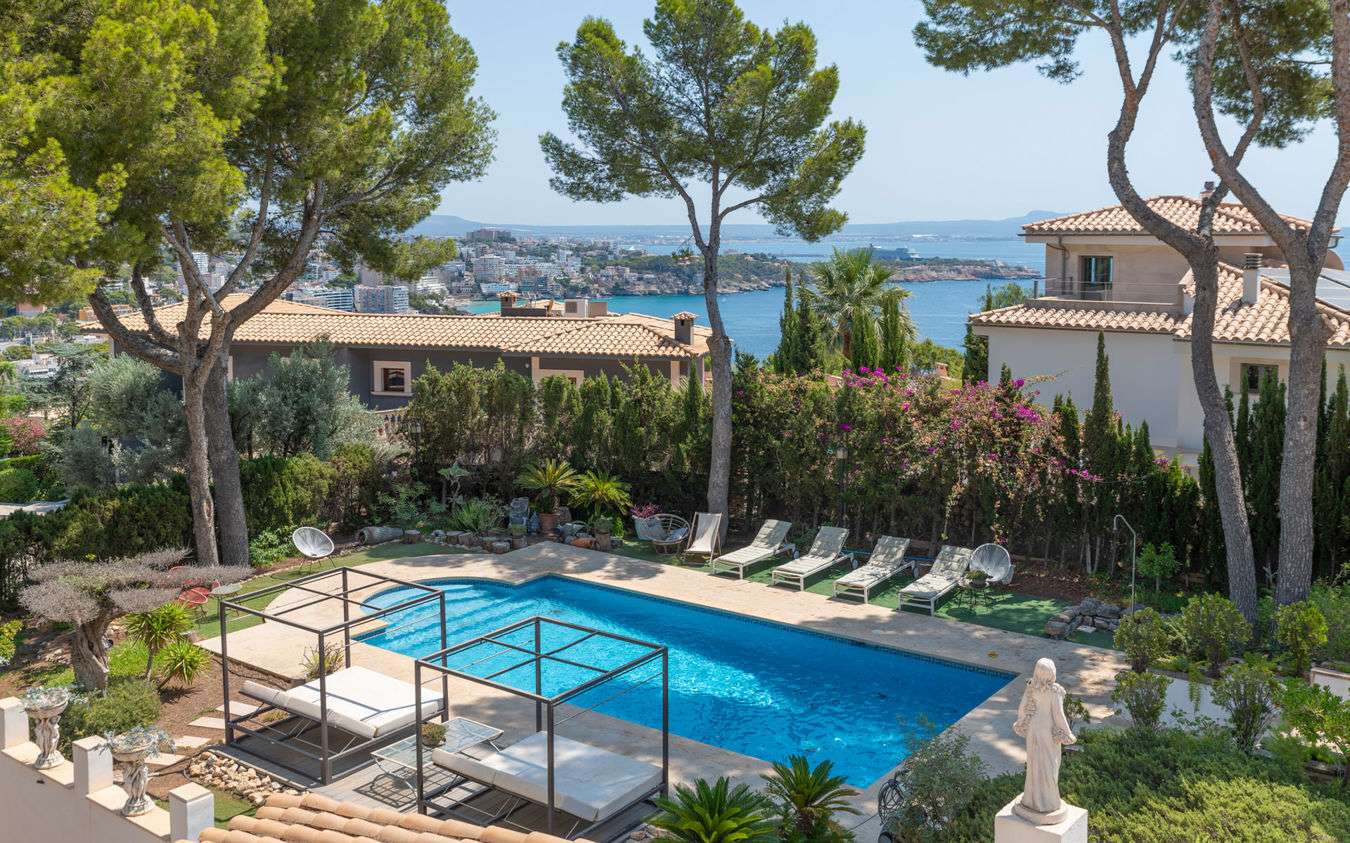 [object Object] - image