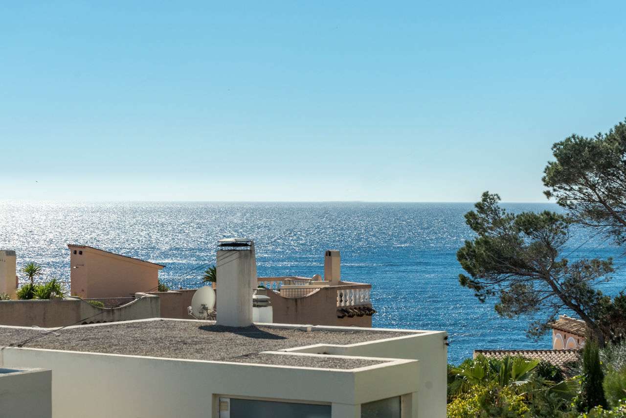 [object Object] - image