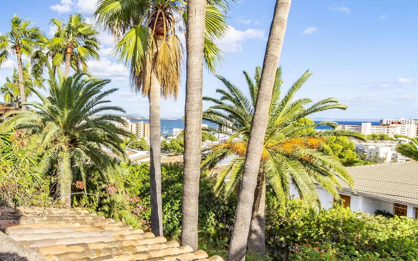 [object Object] - image