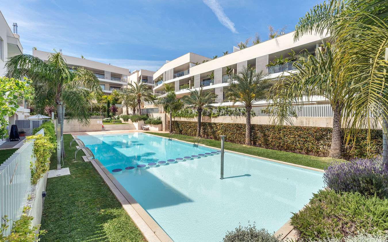 [object Object] - image