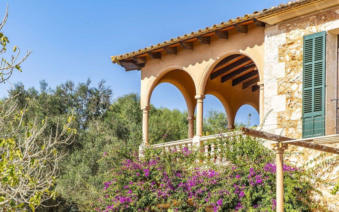 [object Object] - image