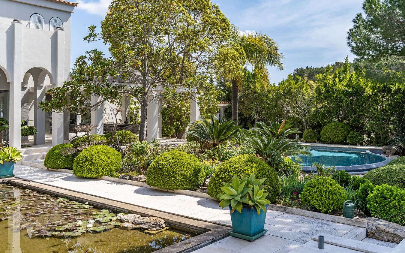 [object Object] - image