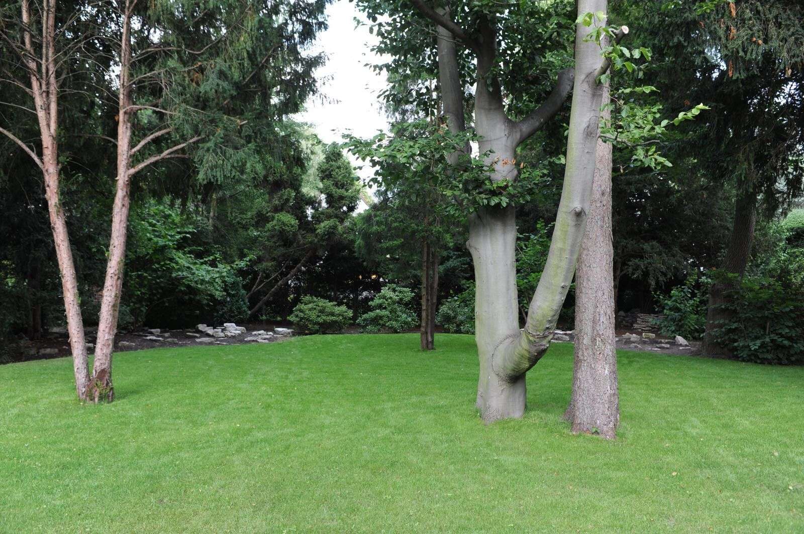 Garten 4