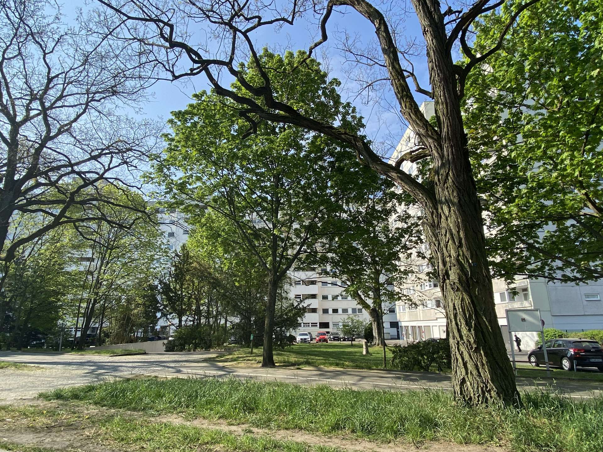Über den Dächern der Stadt – sanierte 3 Zimmerwohnung im 9. Obergeschoss