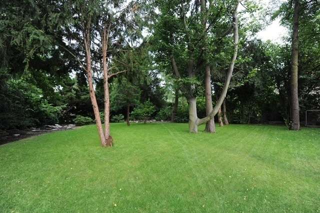 Garten 1