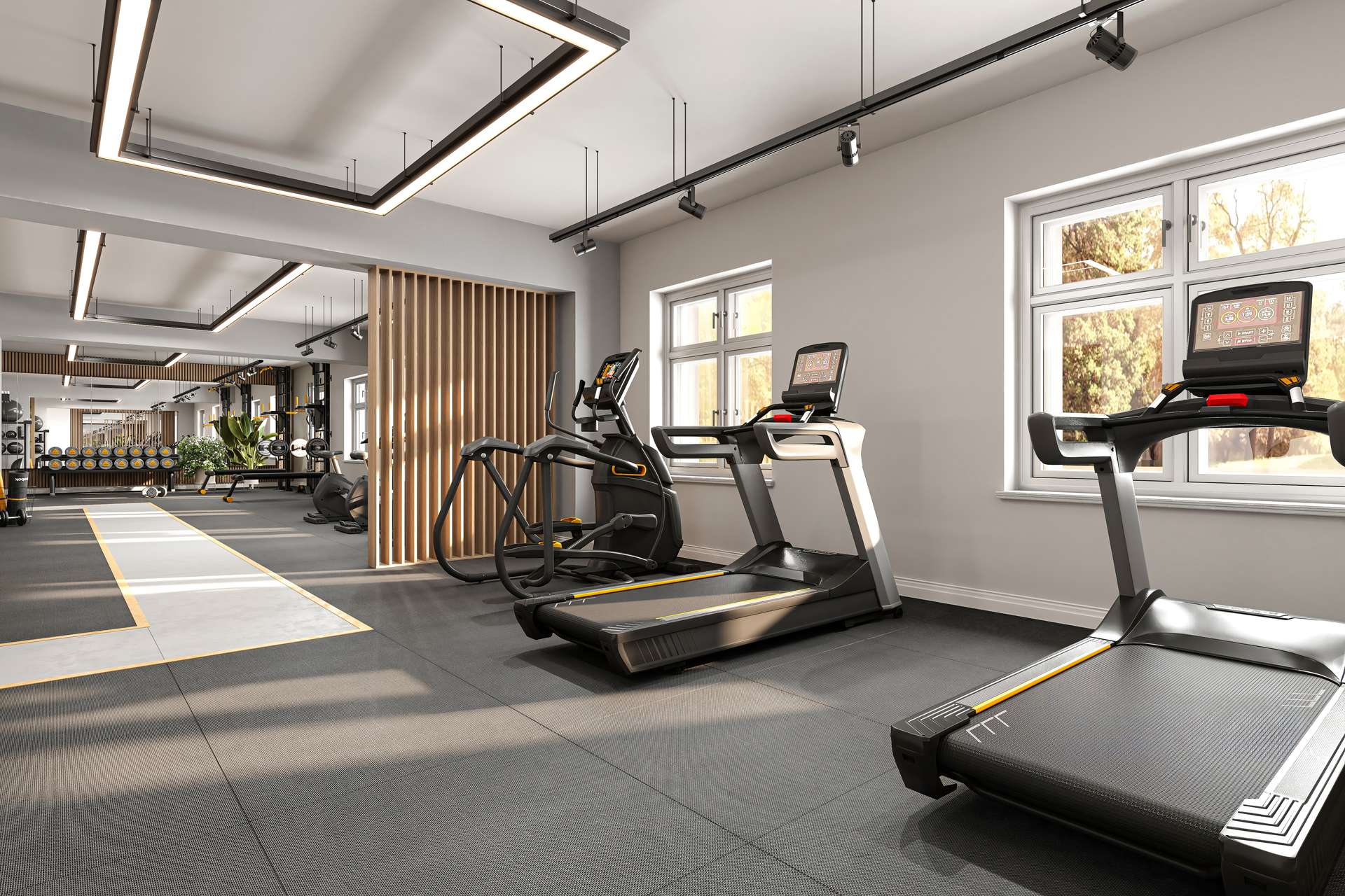 WD_Fitness-1