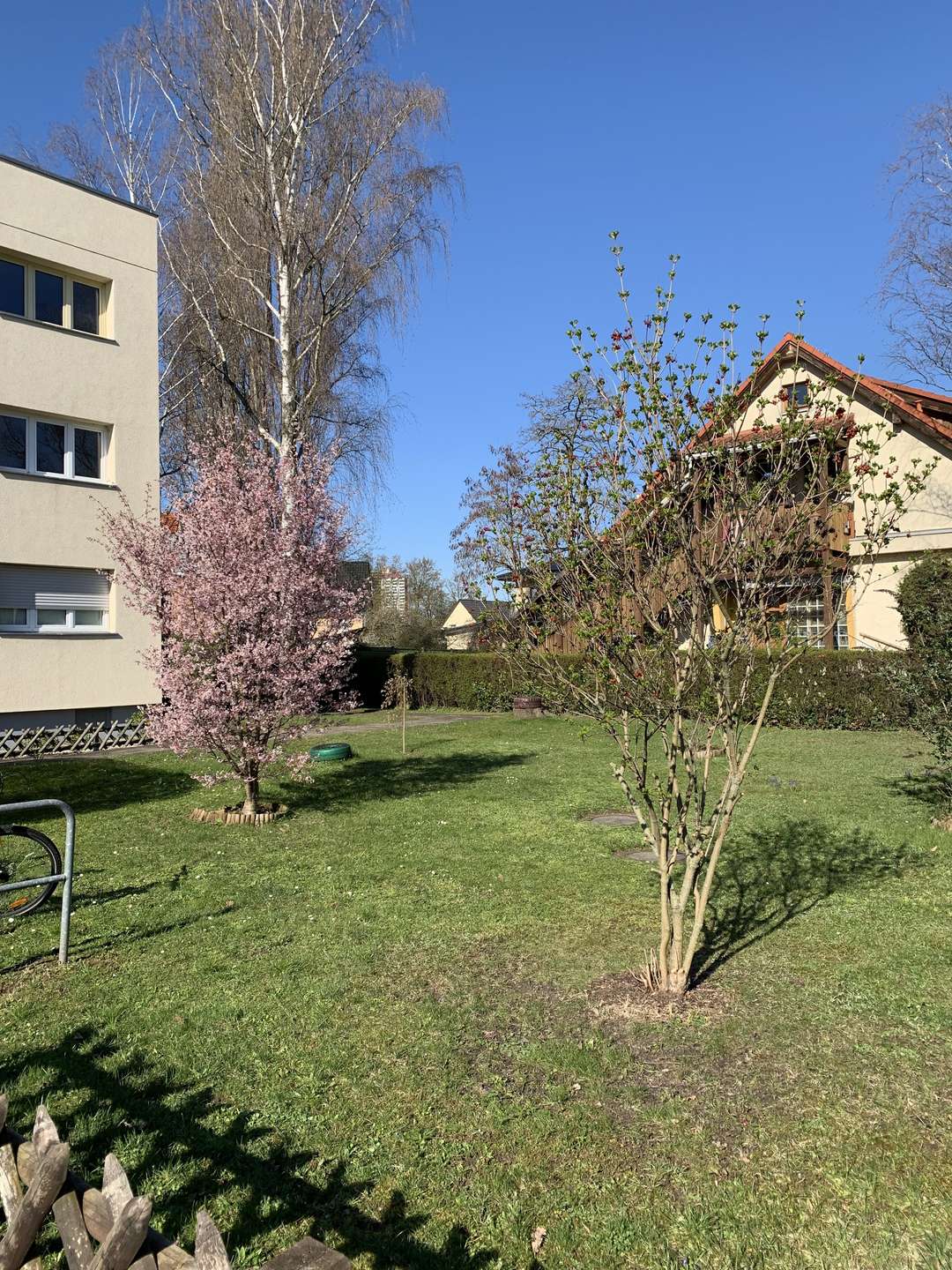 Der Vorgarten des Nachbarhauses