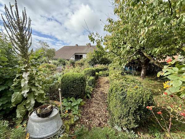 Garten Bild 1