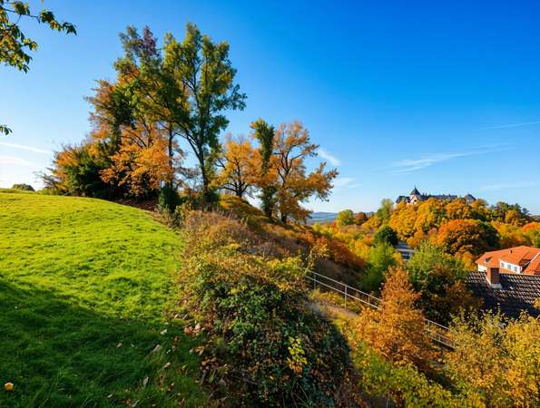 Blick aus dem Garten