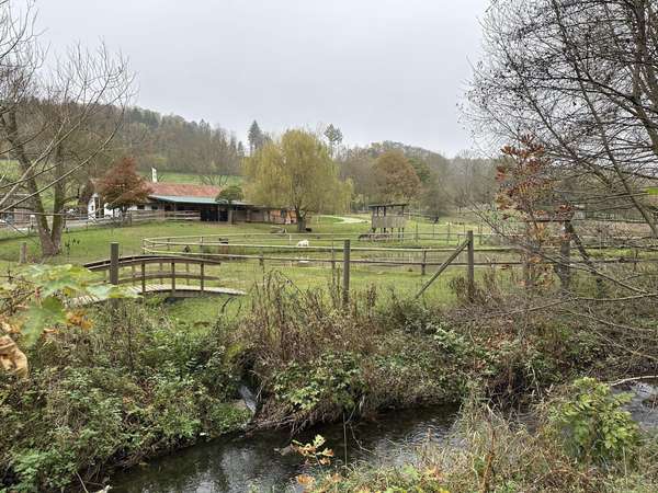 Ausblick in Tierpark