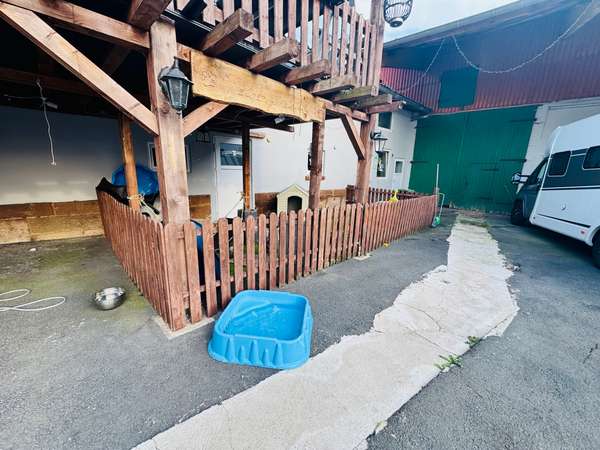 Außen Hunde Freilauf