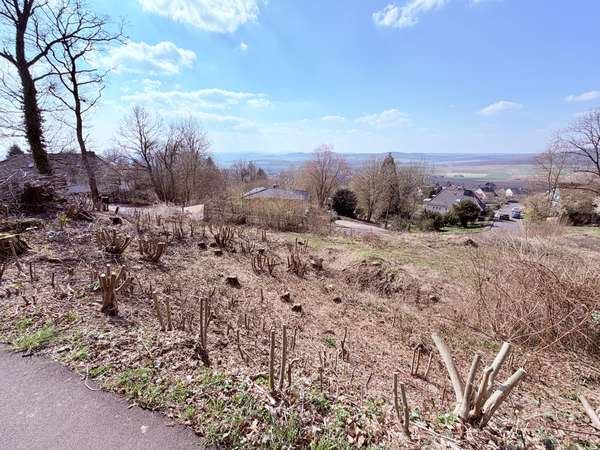 Sehr ruhiges, sonniges Baugrundstück mit Fernblick in Niedenstein, direkt am Waldrand