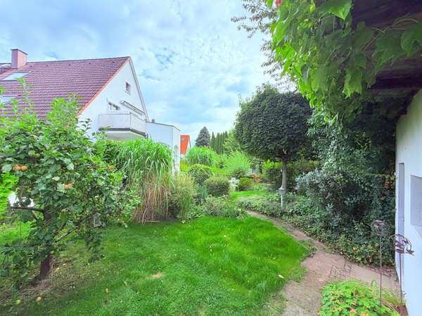 Blick in den Garten