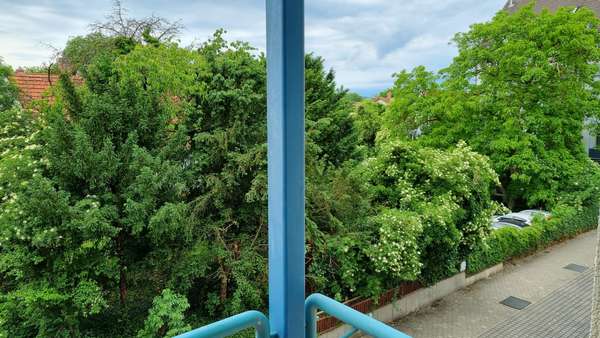 Grüner Ausblick vom Balkon