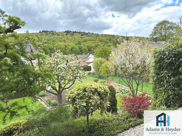 Blick von Terrasse IP