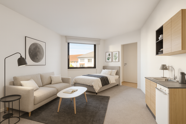 EG Appartment Wohn Schlafzimmer (Einrichtungsbeispiel)