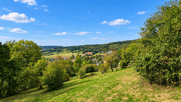 Idyllisches Tal mit Dorf und Obstbäumen
