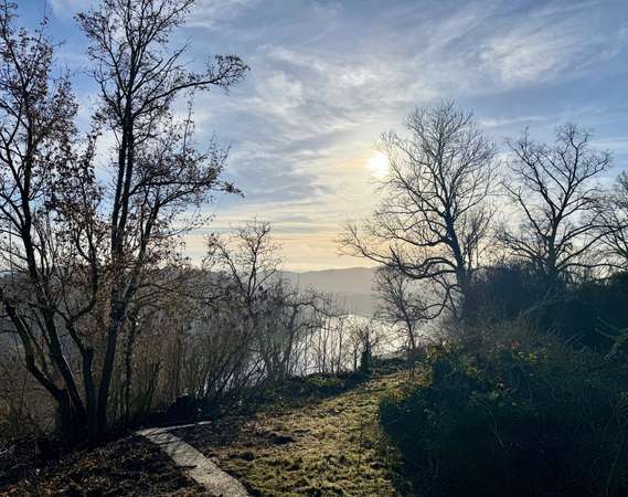 Außen EG Garten Seeblick 