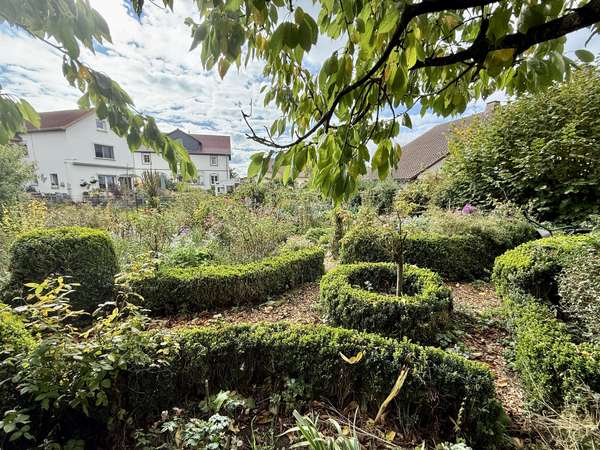 Garten Bild 2