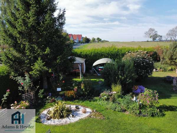 Garten Bild 4