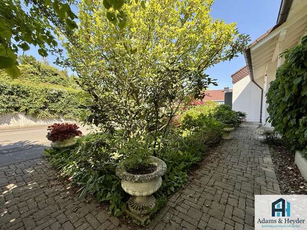 Vorgarten mit Weg zum Garten/zur Garage