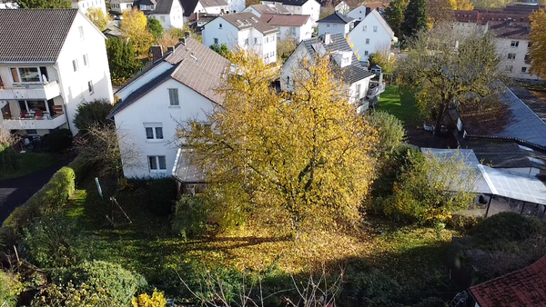 Übersicht Garten