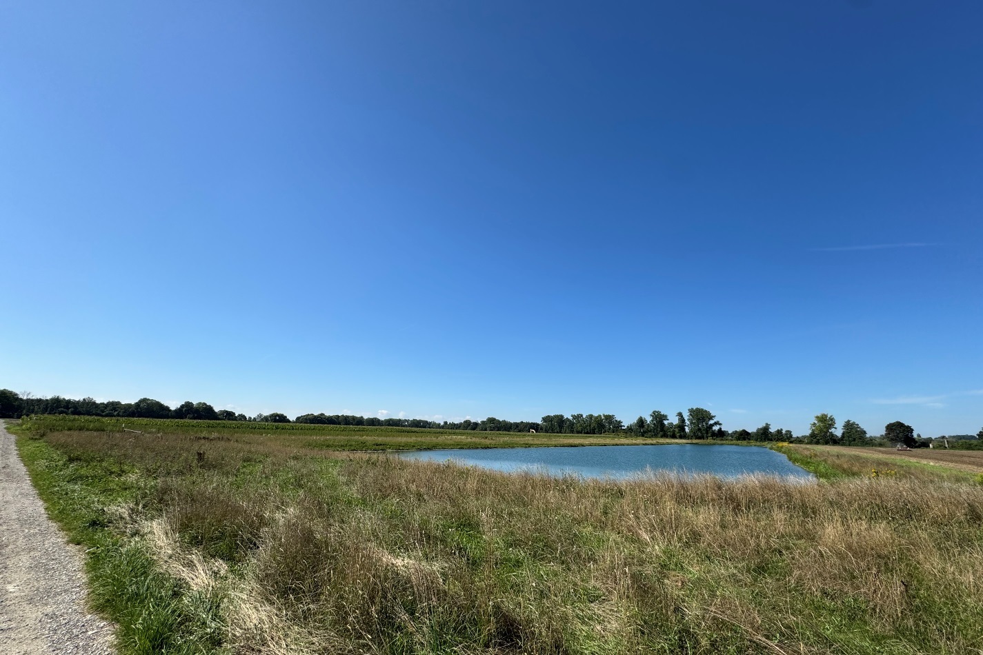 Hochwertiger Wasserkies in Reichweite – jetzt auf die Zukunft setzen – Vorschaubild 2