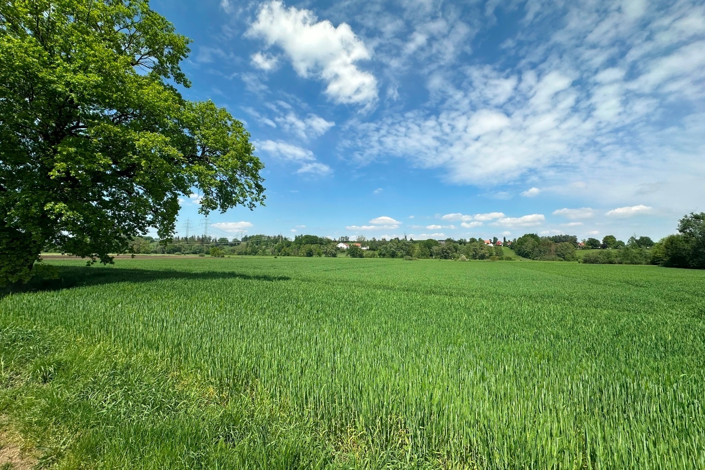 Landwirtschaftliches Grundstück am Ortsrand von Günding (Gde. Bergkirchen) zu verkaufen! – Vorschaubild 3