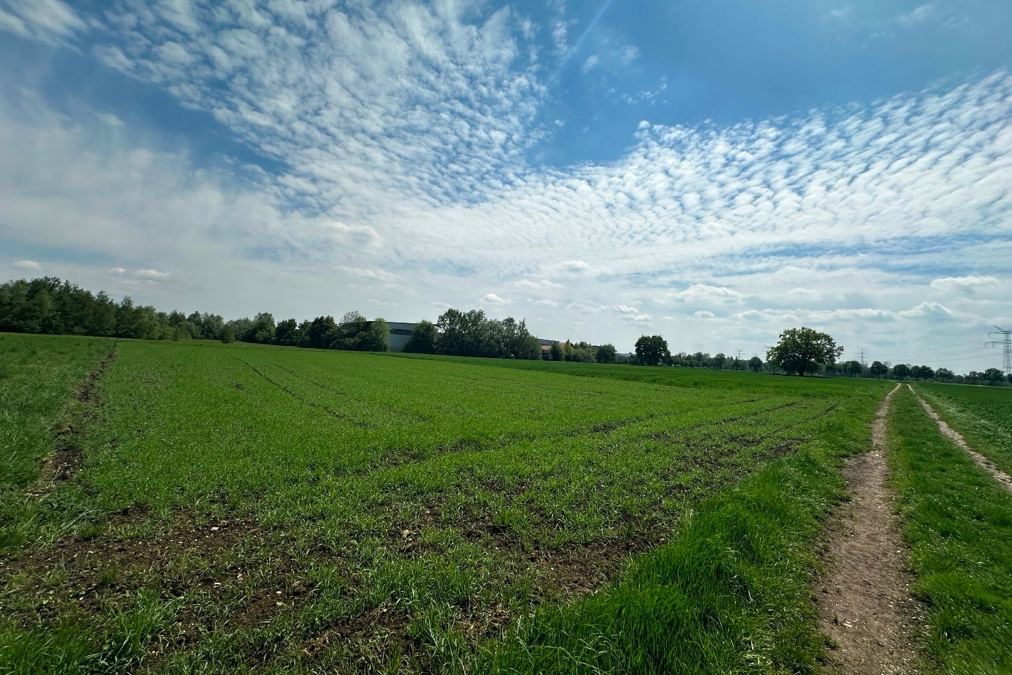 Landwirtschaftliches Grundstück am Ortsrand von Günding (Gde. Bergkirchen) zu verkaufen! – Vorschaubild 4