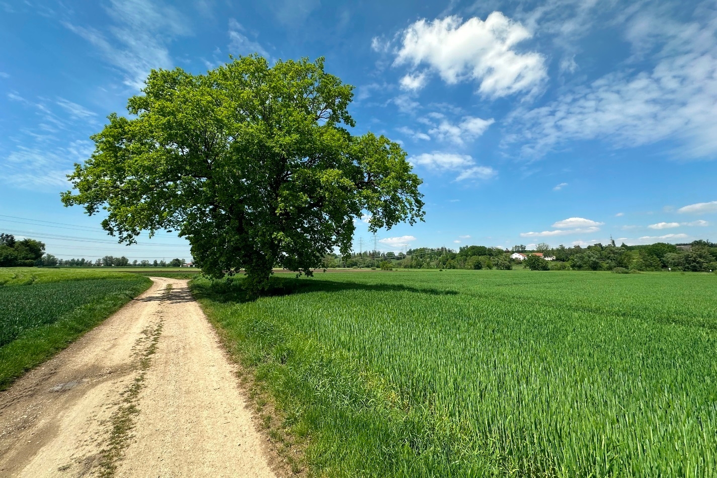 Landwirtschaftliches Grundstück am Ortsrand von Günding (Gde. Bergkirchen) zu verkaufen! – Vorschaubild 2