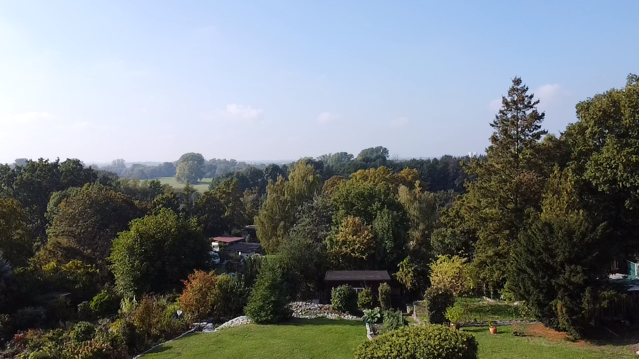 Ausblick 