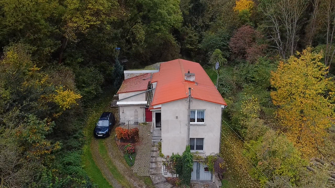 Mitten im Grünen