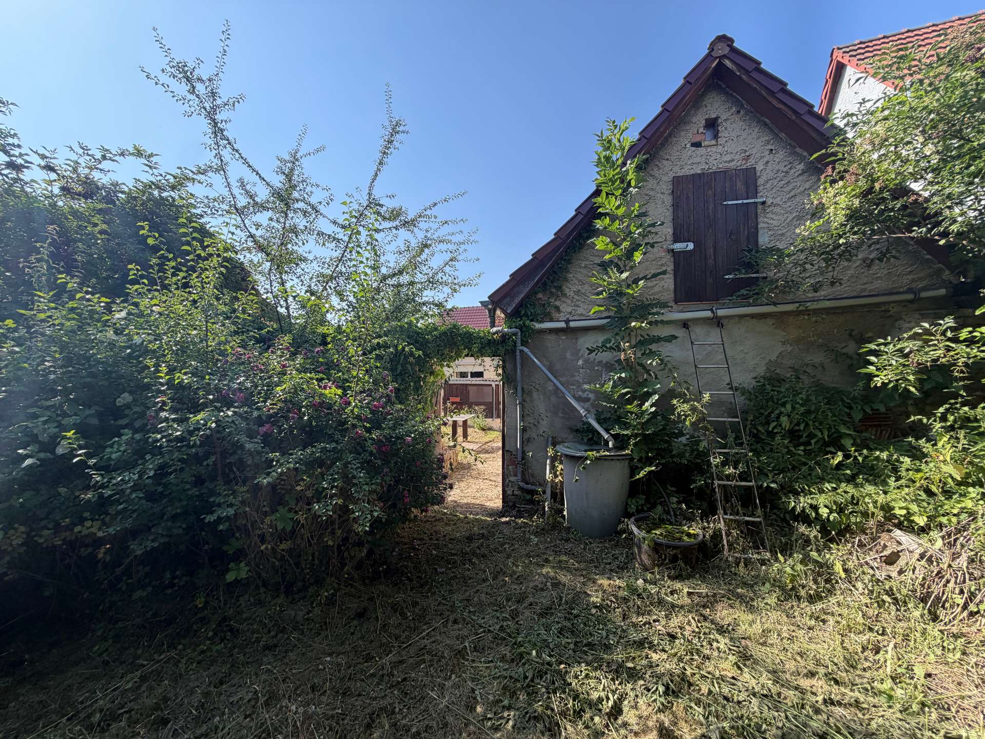 Blick zum Hof