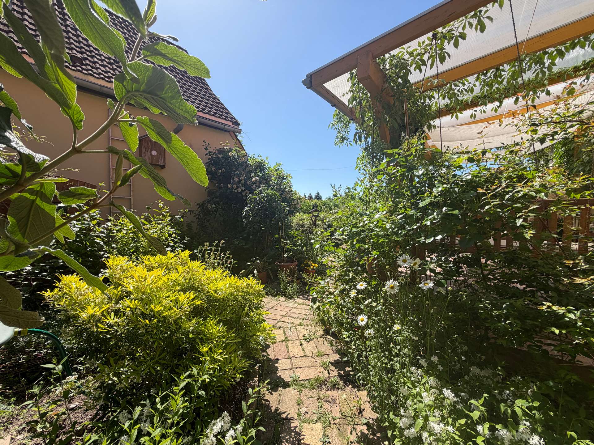 Garten Eingangsbereich