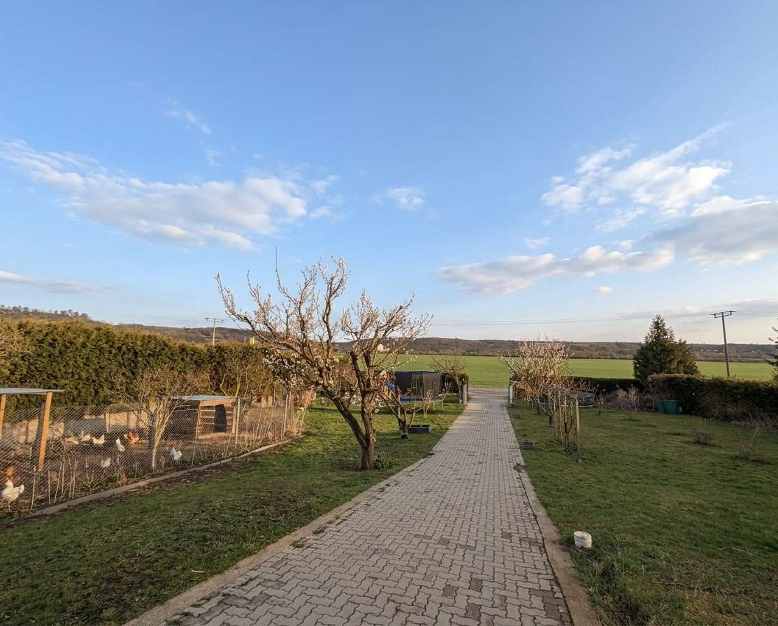 Ausblick