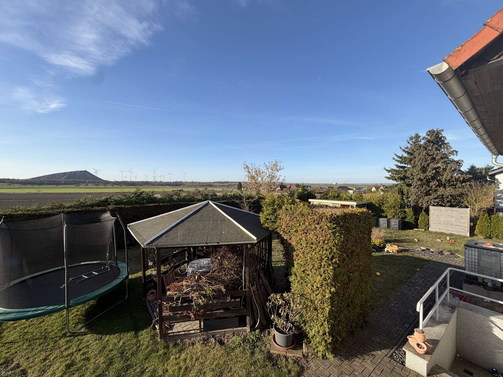 Blick zum Garten 