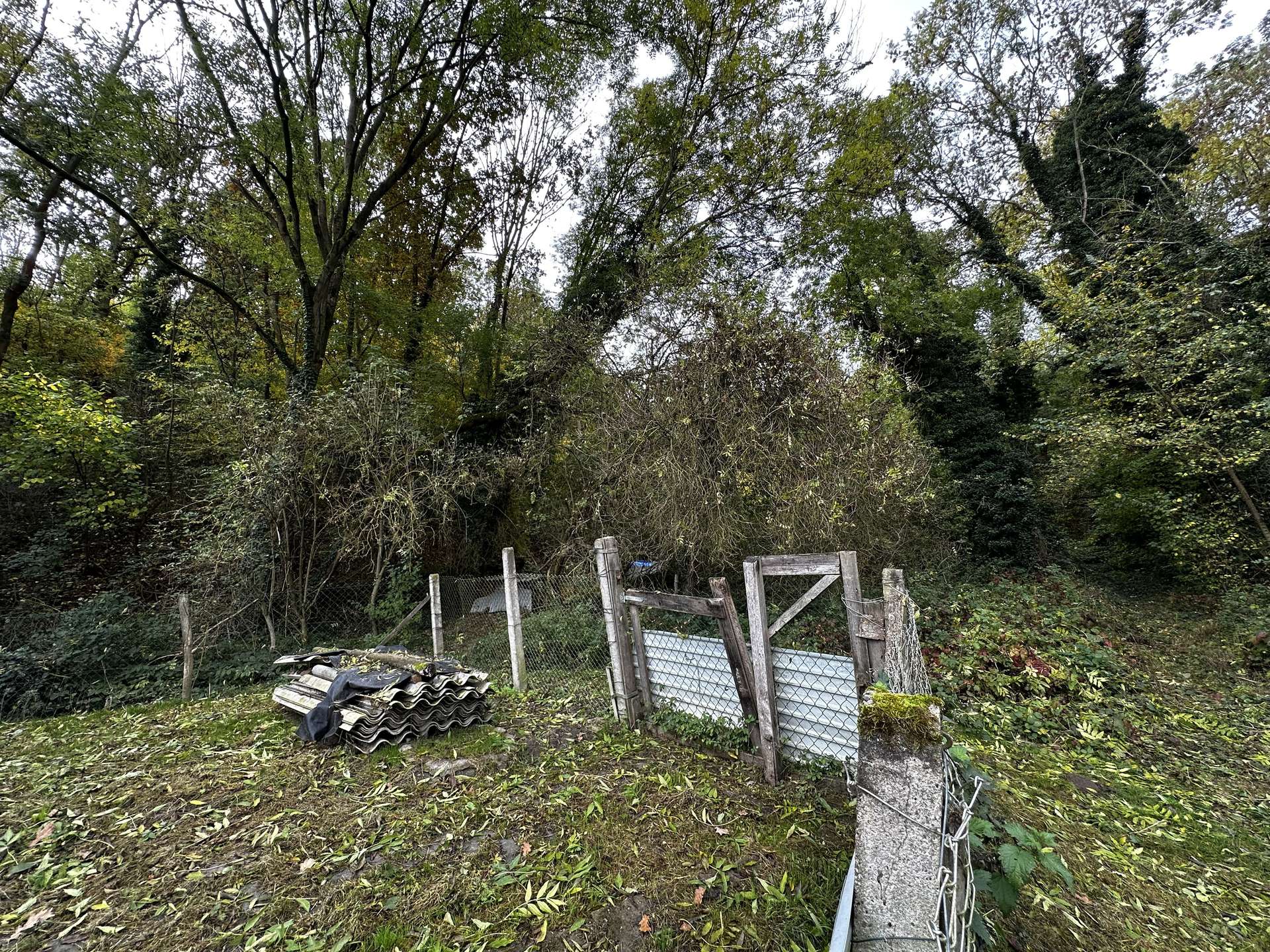 Garten am Objekt 