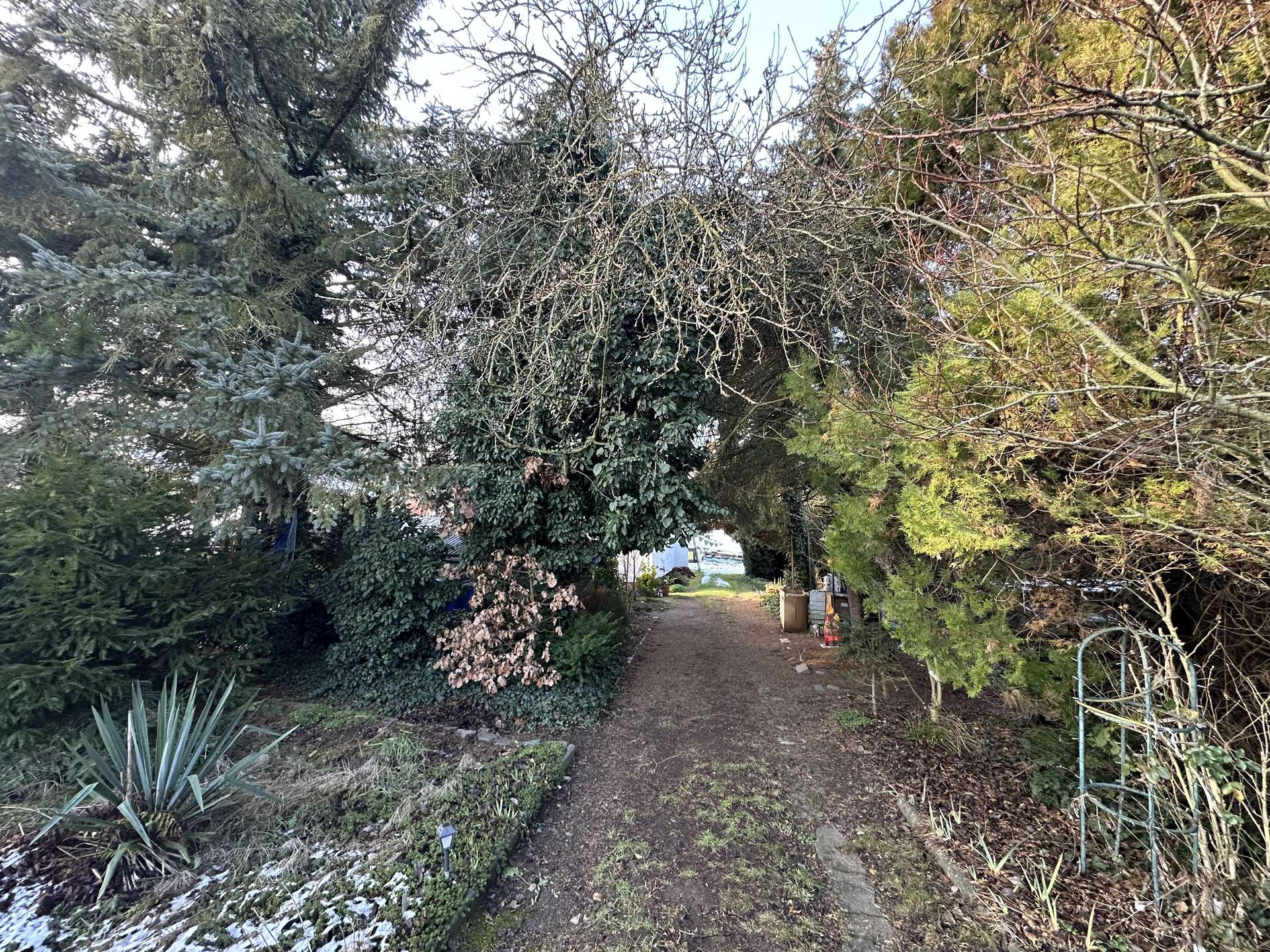 Garten und Einfahrt 
