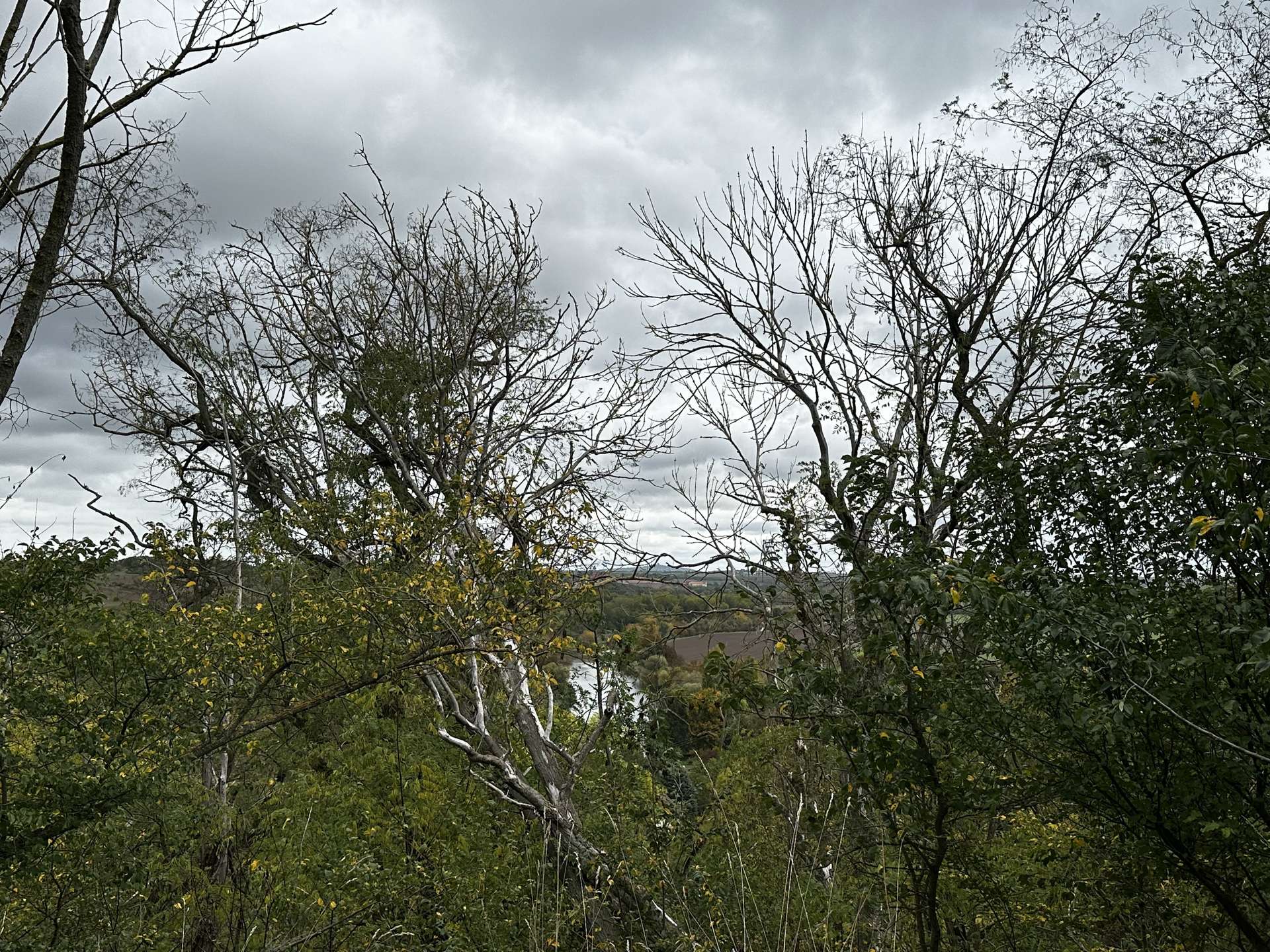 Ausblick