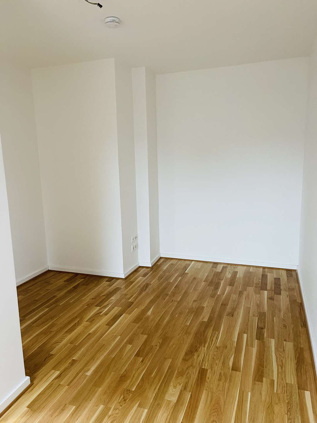 properties-details