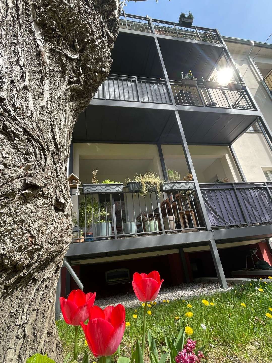 properties-details