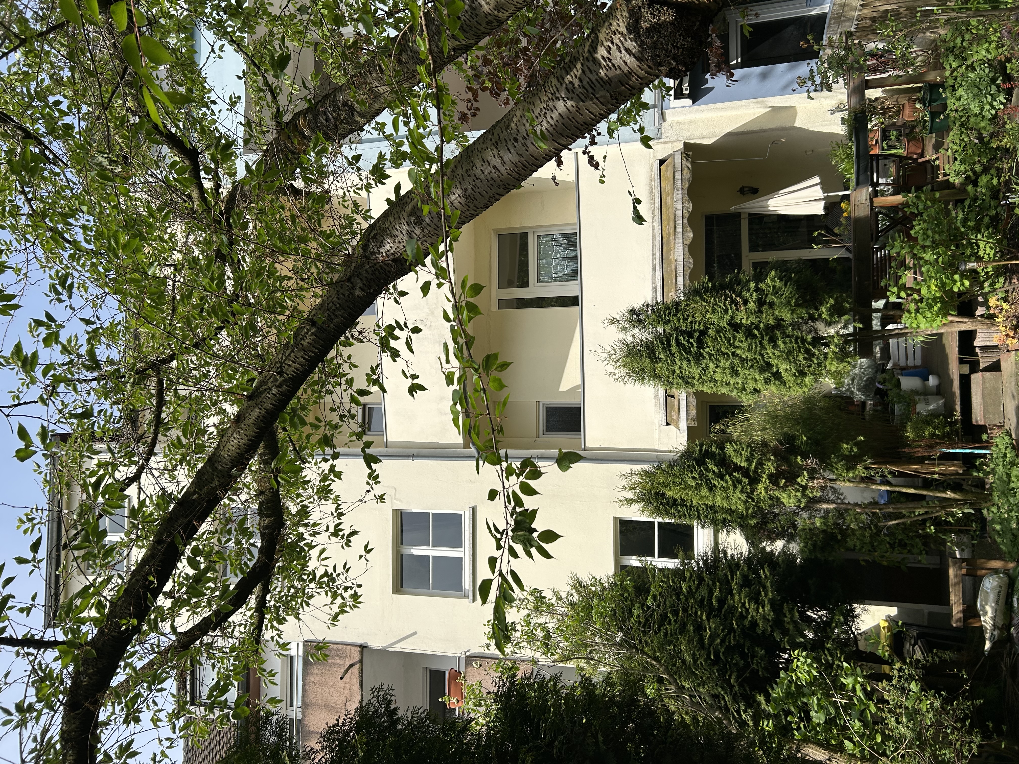 Charmantes 4-Parteienhaus in ruhiger Lage, saniert, gepflegt und mit historischem Altbauflair - Bild 2